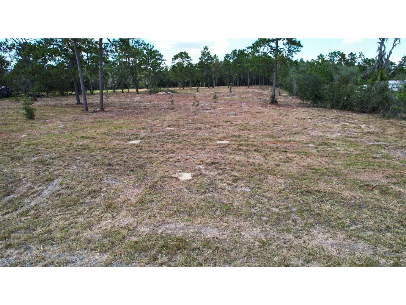 53rd Lane Morriston FL 32668 O6347062 image3
