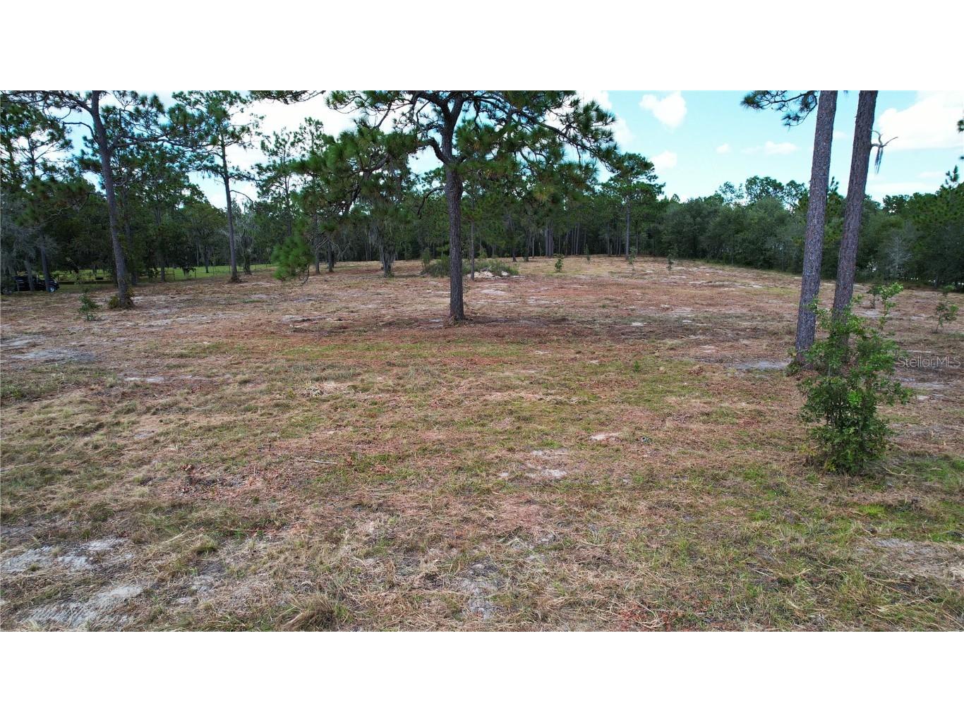53rd Lane Morriston FL 32668 O6347062 image4