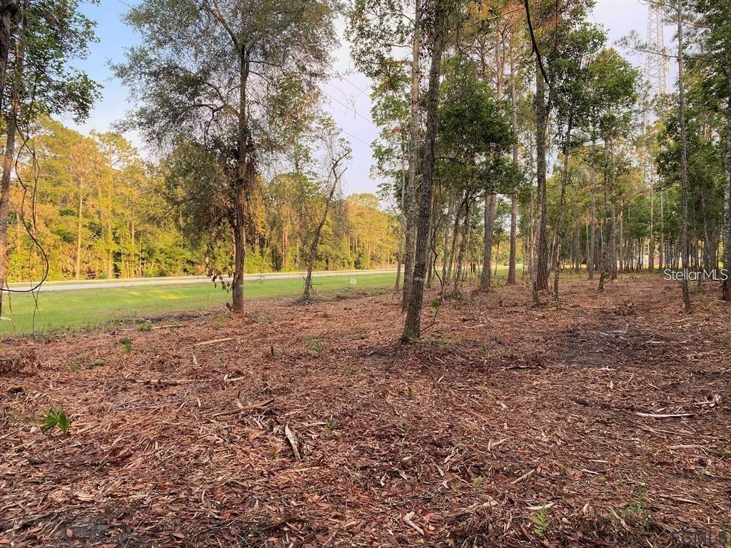 53xx Us Hwy 1 N Bunnell FL 32110 FC305280 image1