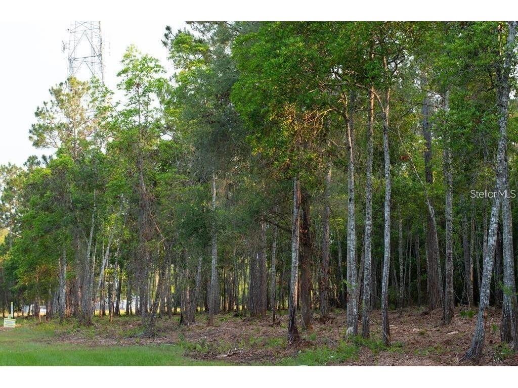 53xx Us Hwy 1 N Bunnell FL 32110 FC305280 image2