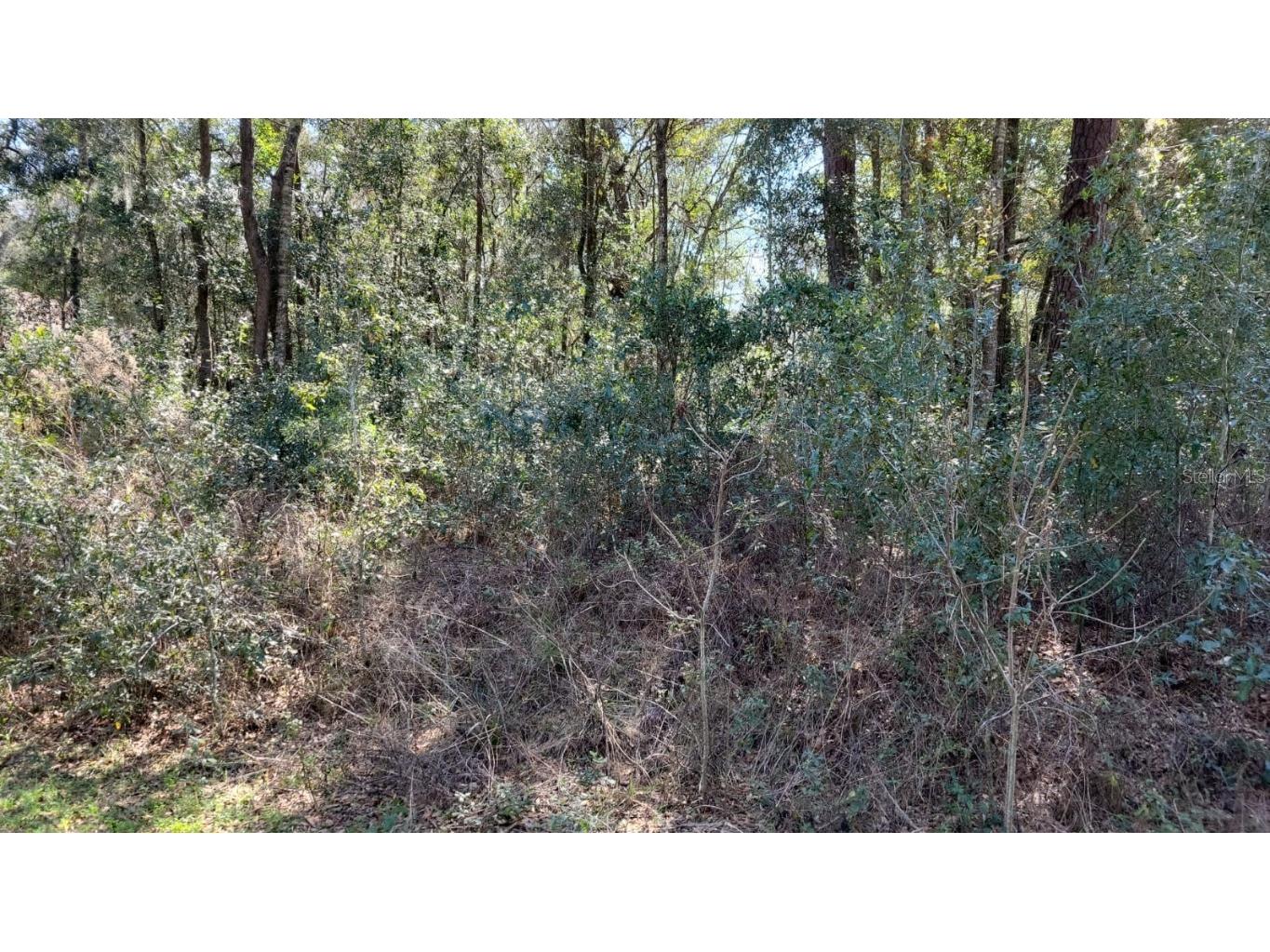 54th Pl Ocala FL 34482 S5081091 image1