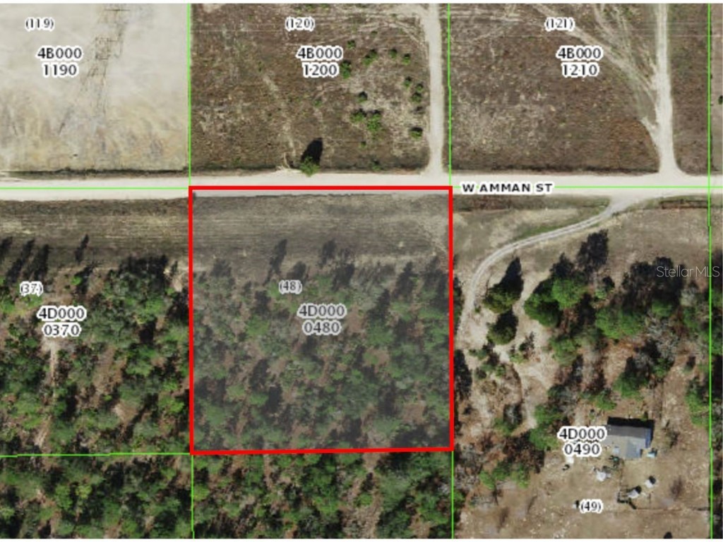 5538 W Ammon Street Dunnellon FL 34433 G5083342 image1