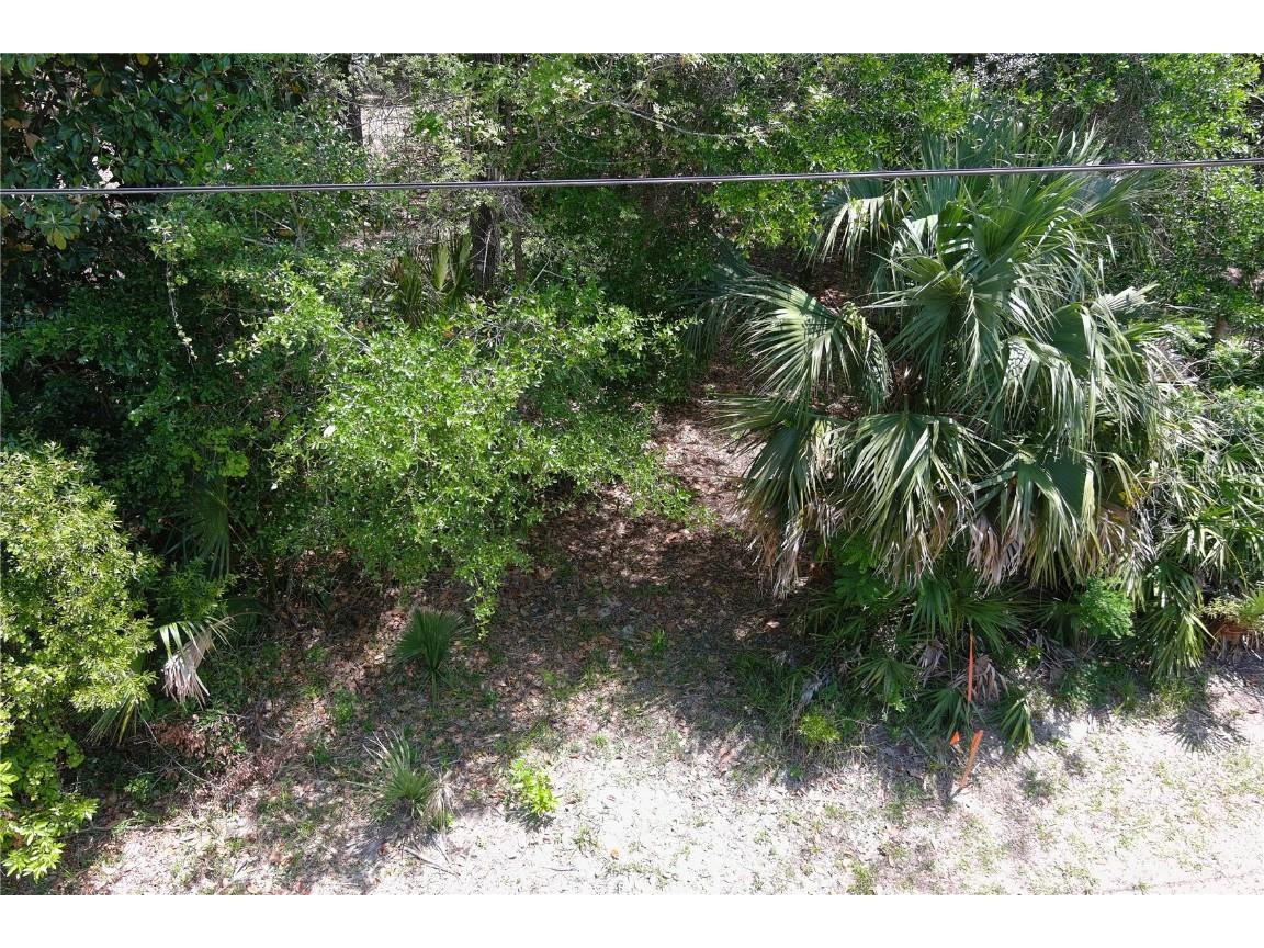 5751 John Anderson Highway Flagler Beach FL 32136 FC309491 image11