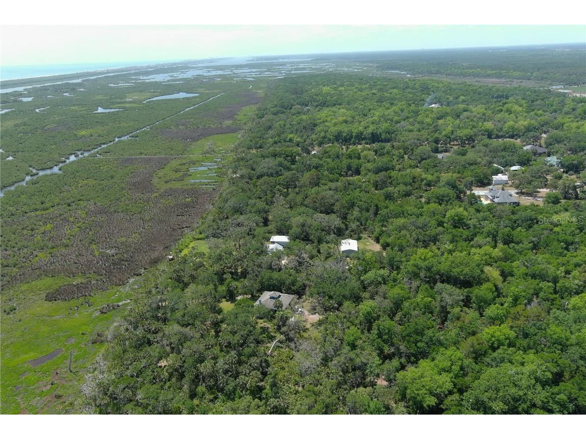 5751 John Anderson Highway Flagler Beach FL 32136 FC309491 image8