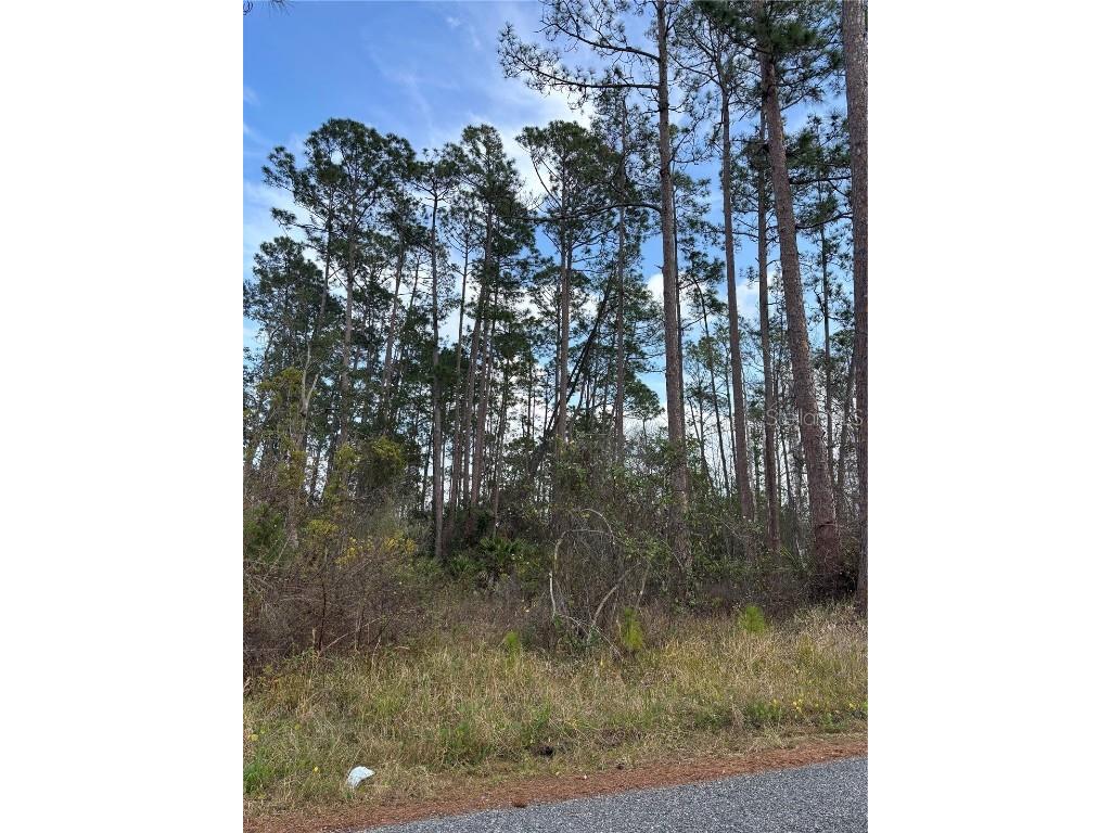 5th Avenue Deland FL 32724 V4940662 image2