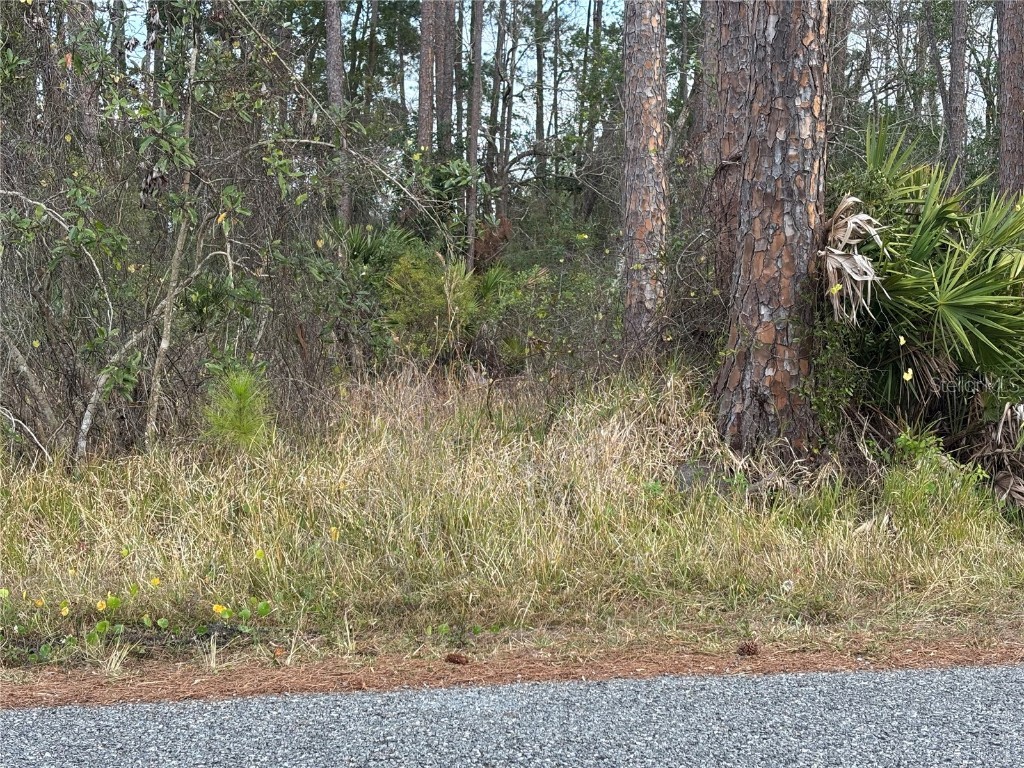 5th Avenue Deland FL 32724 V4940662 image4