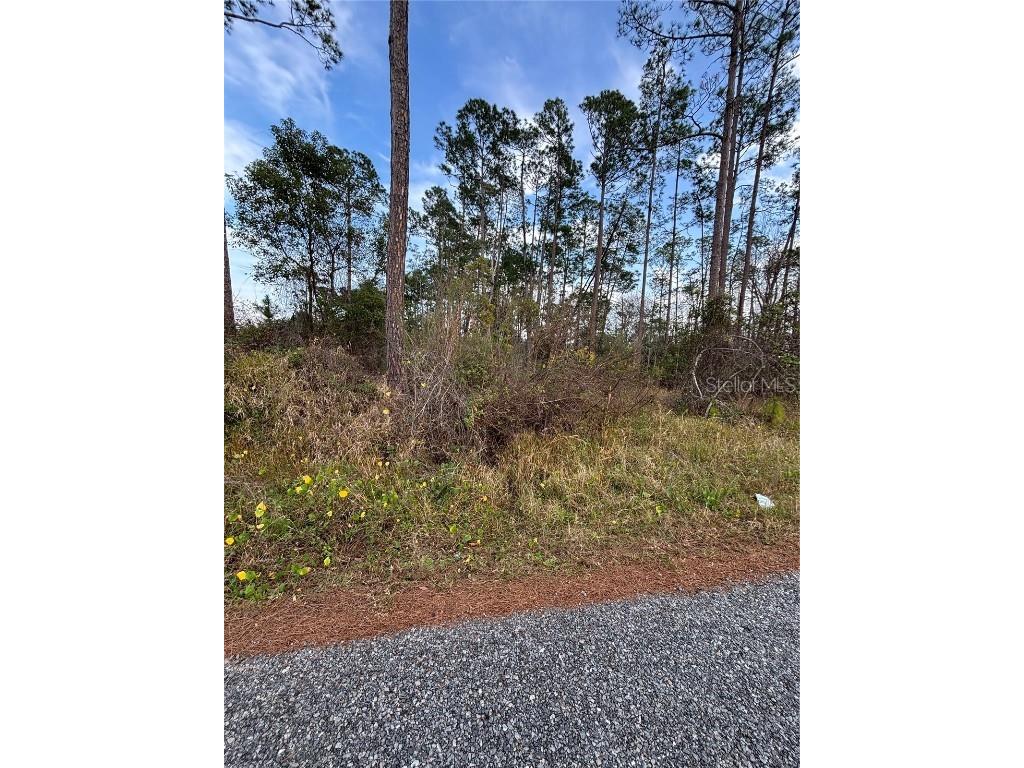 5th Avenue Deland FL 32724 V4940662 image5