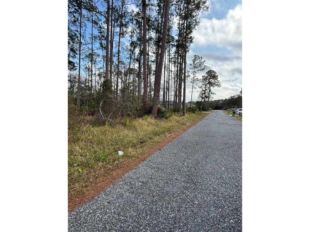 5th Avenue Deland FL 32724 V4940662 image6