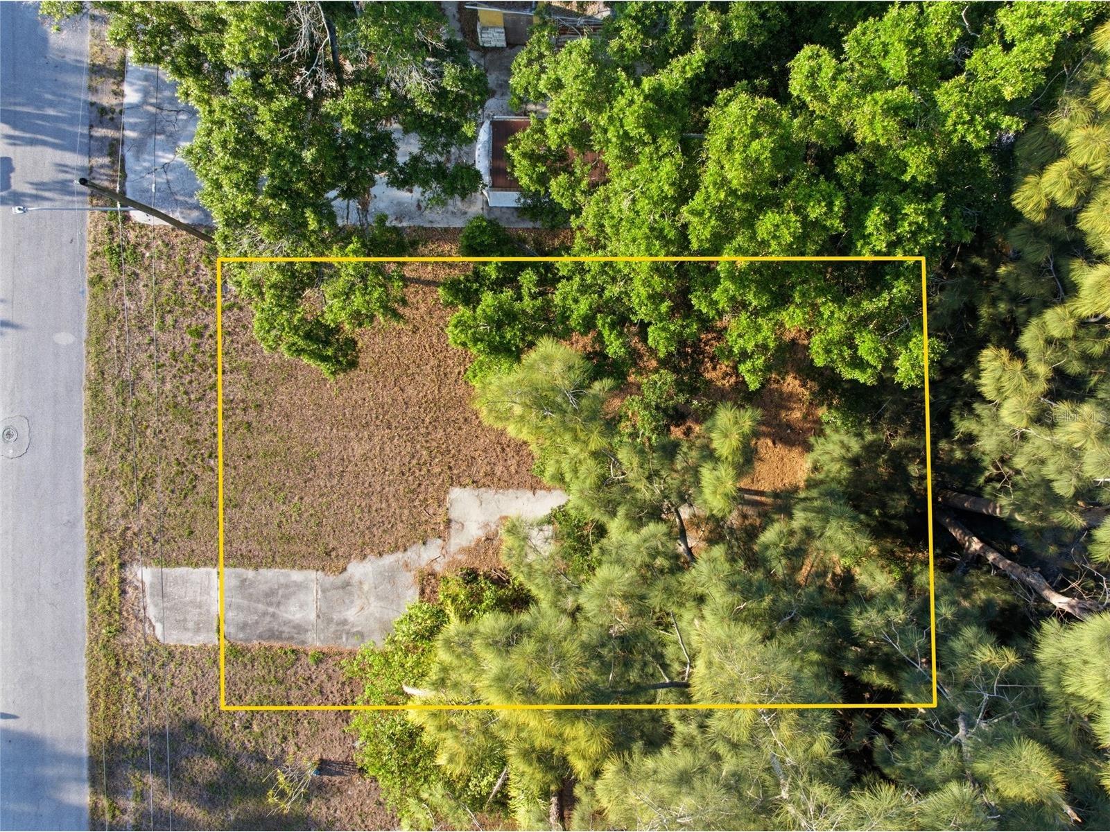 61st Lane Pinellas Park FL 33781 TB8521040 image2
