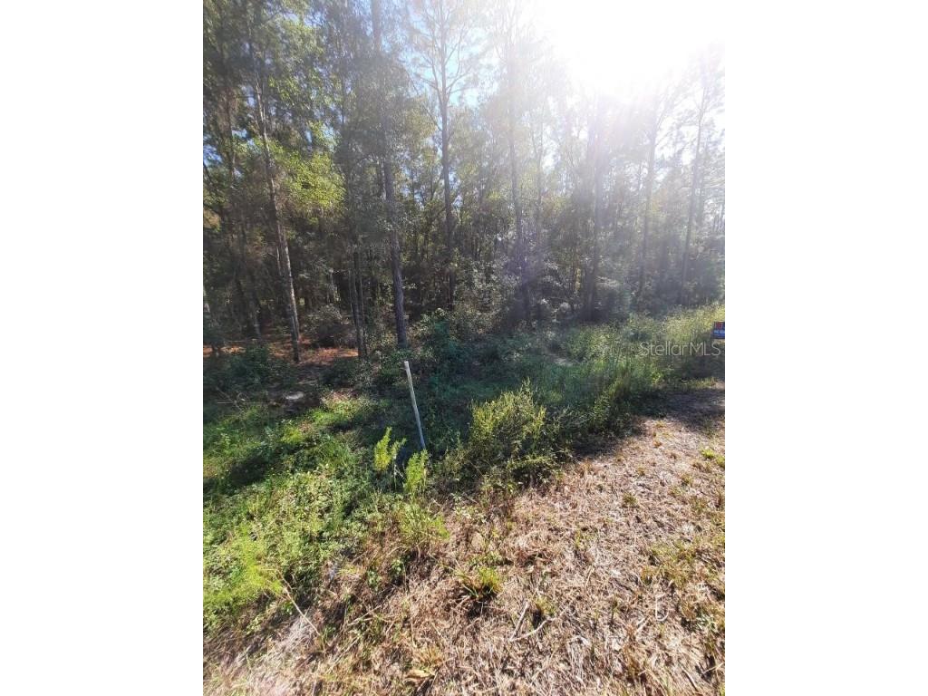 61st Pl Rd Ocala FL 34481 OM628942 image1