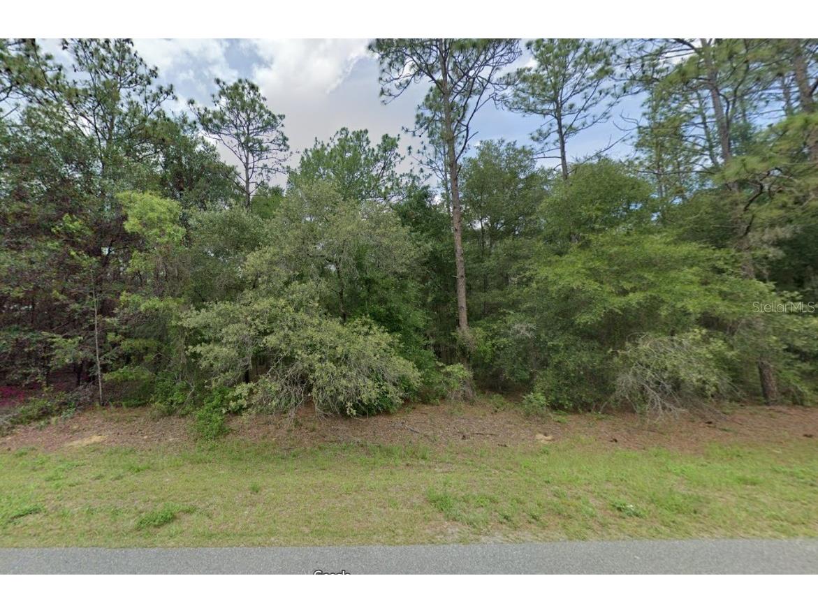 61st Place Road Ocala FL 34481 O6233170 image1
