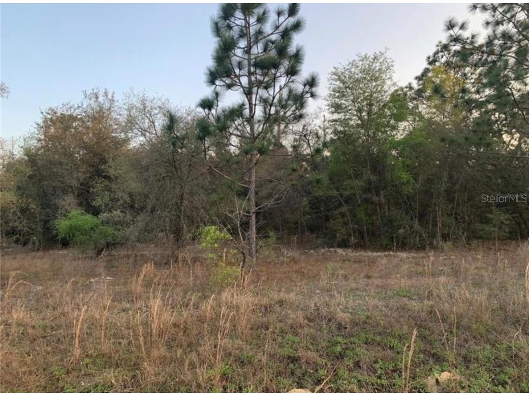 65 Hilliard Avenue Dunnellon FL 34431 T3496530 image1