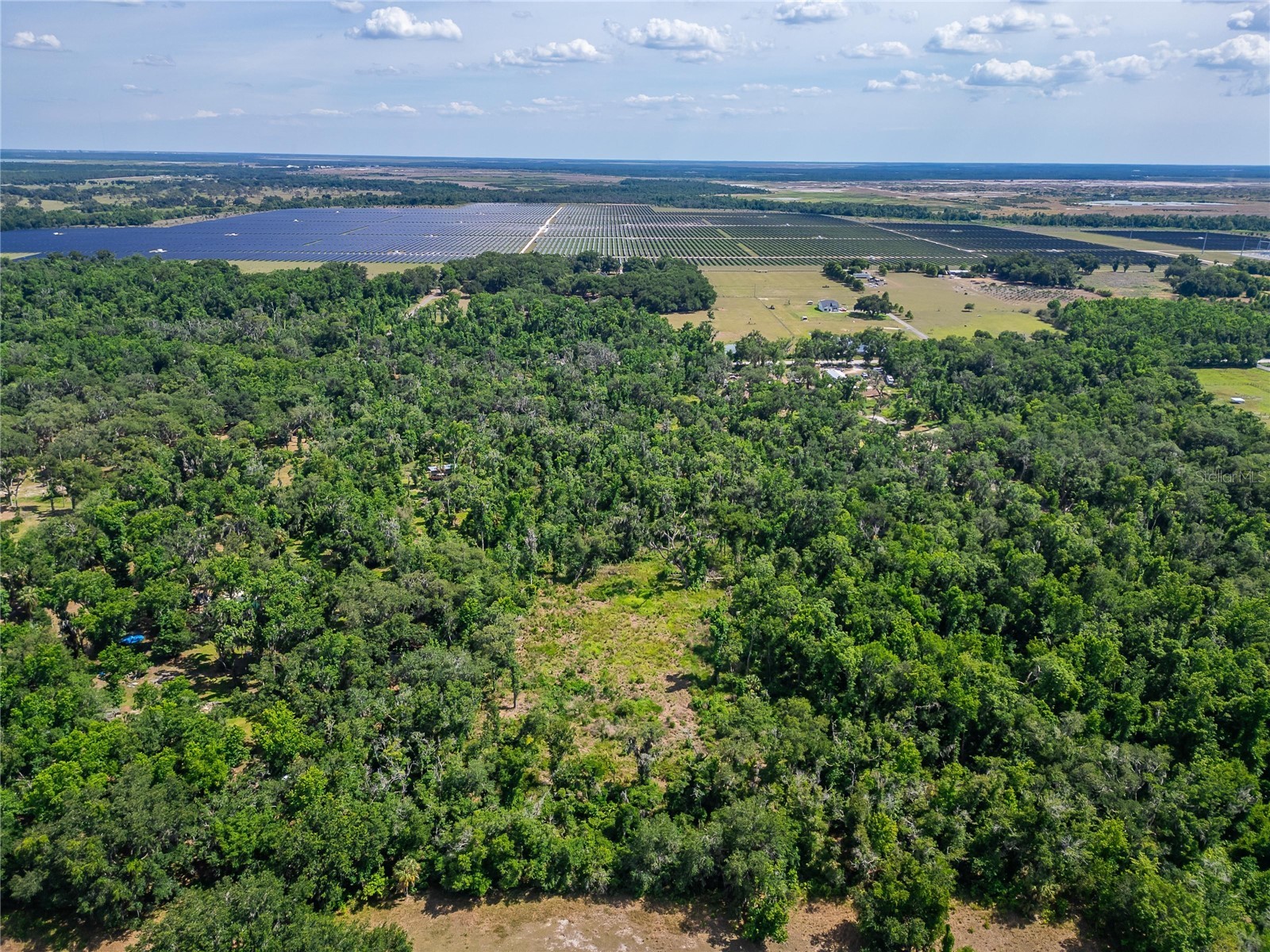 672 Highway Lithia FL 33547 TB8510144 image10