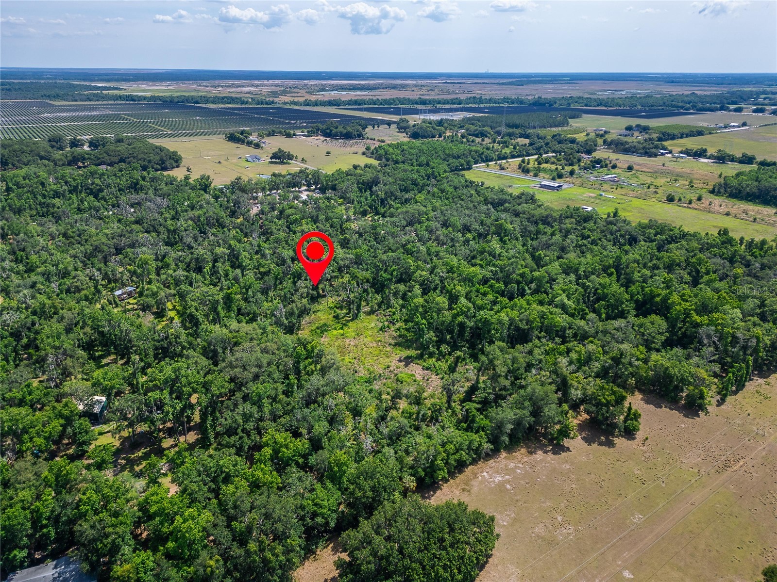 672 Highway Lithia FL 33547 TB8510144 image13