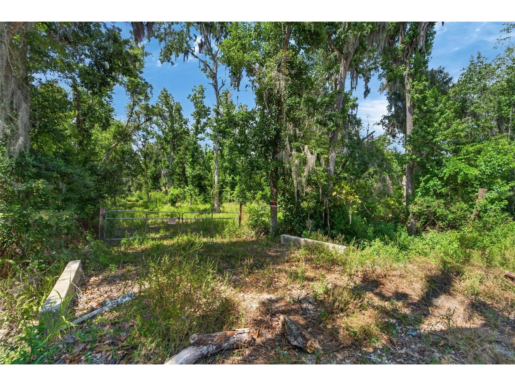 672 Highway Lithia FL 33547 TB8510144 image15