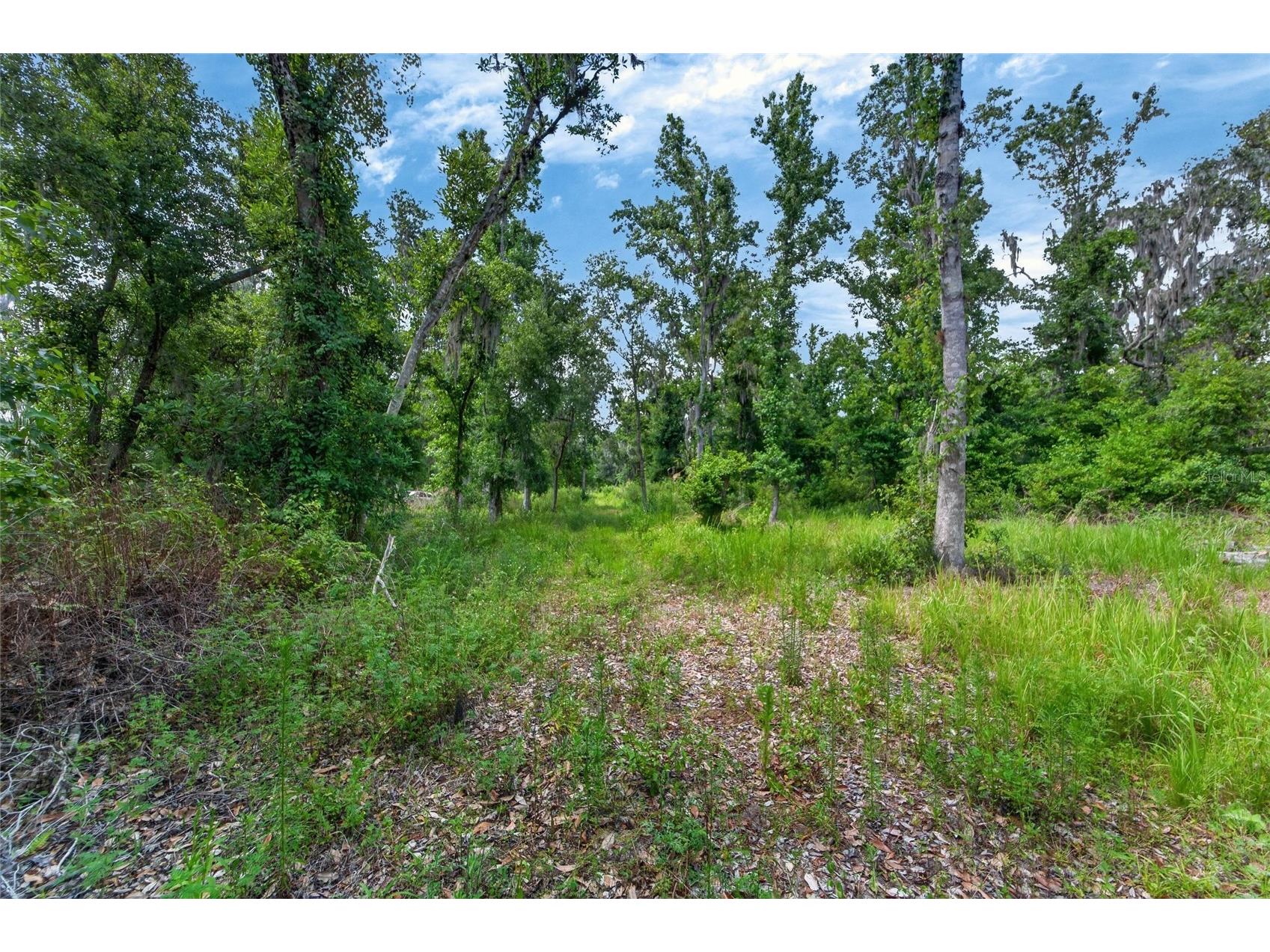 672 Highway Lithia FL 33547 TB8510144 image16
