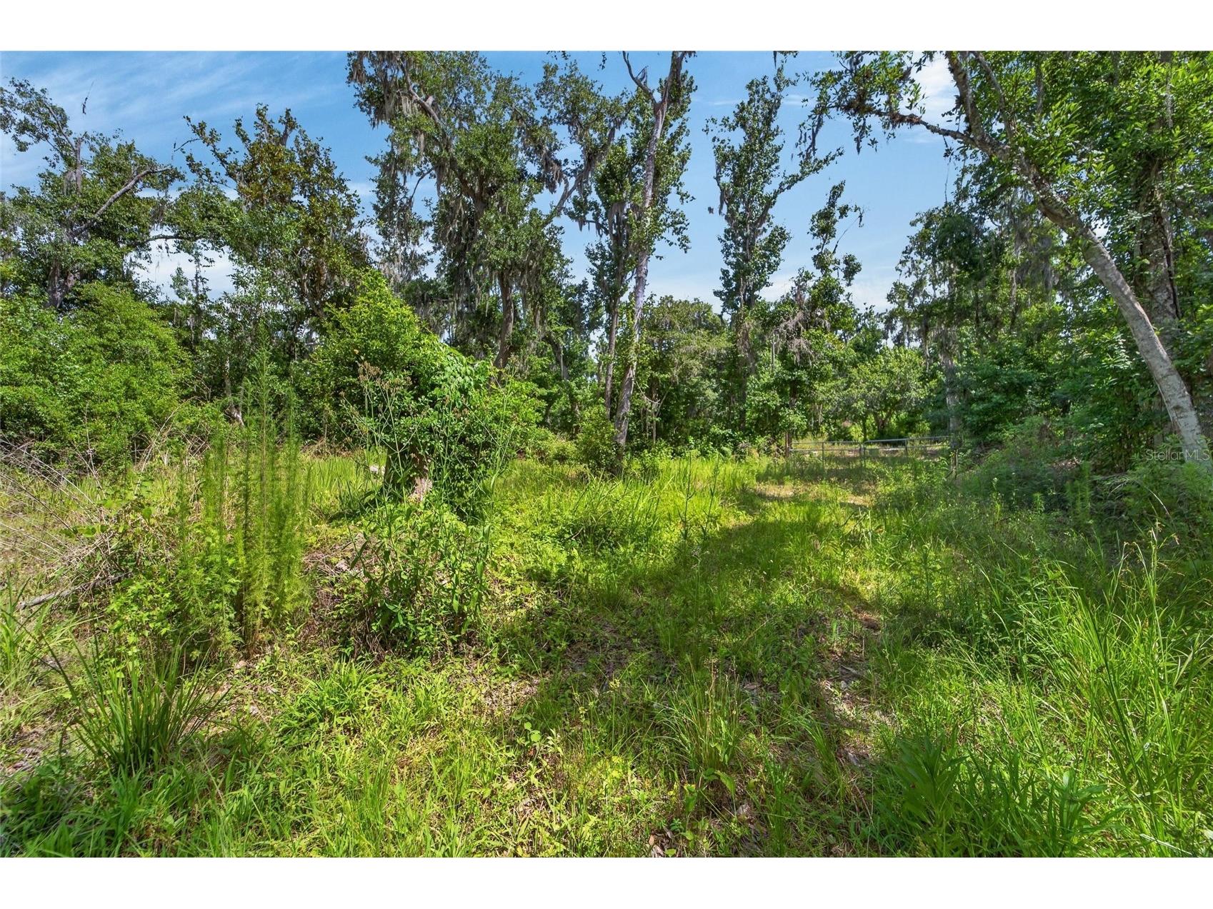672 Highway Lithia FL 33547 TB8510144 image17