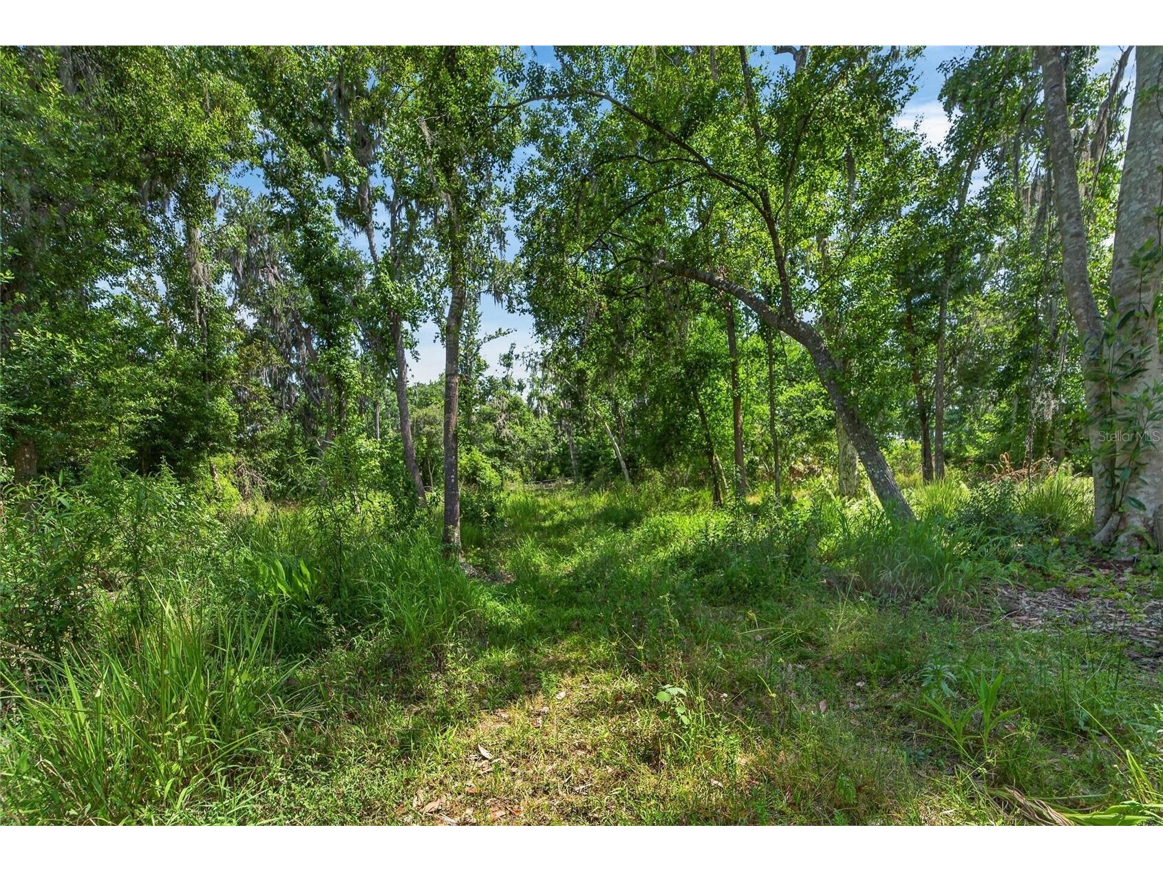 672 Highway Lithia FL 33547 TB8510144 image18