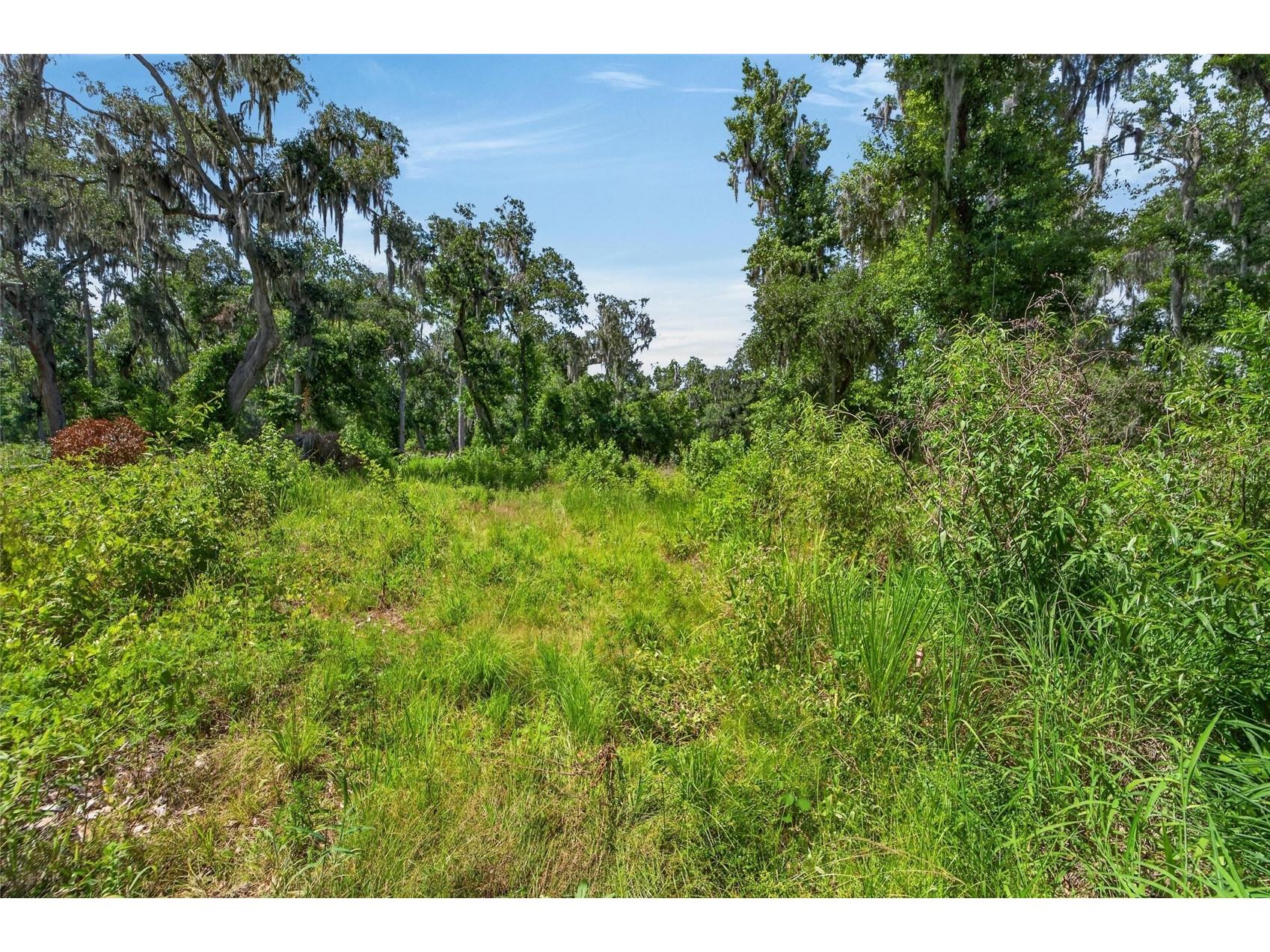672 Highway Lithia FL 33547 TB8510144 image19