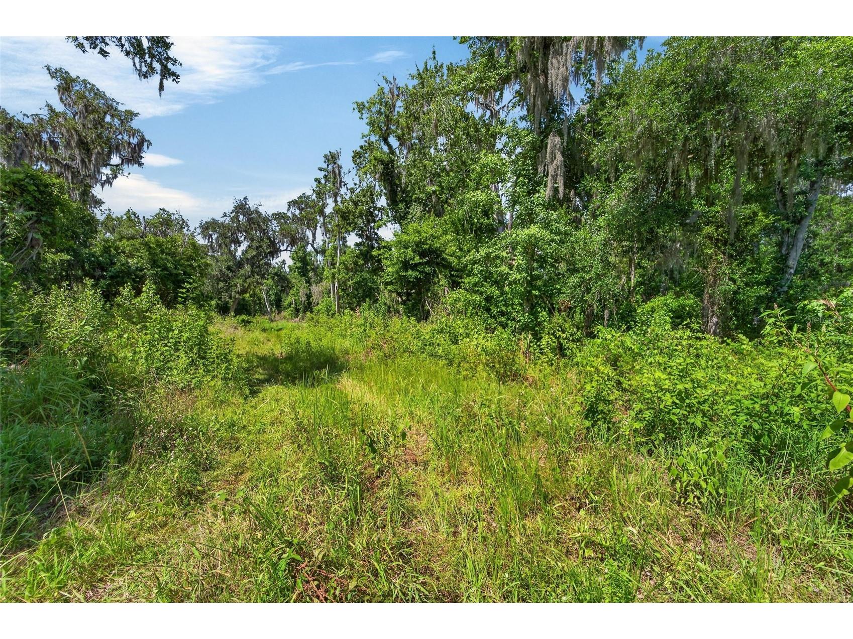 672 Highway Lithia FL 33547 TB8510144 image20