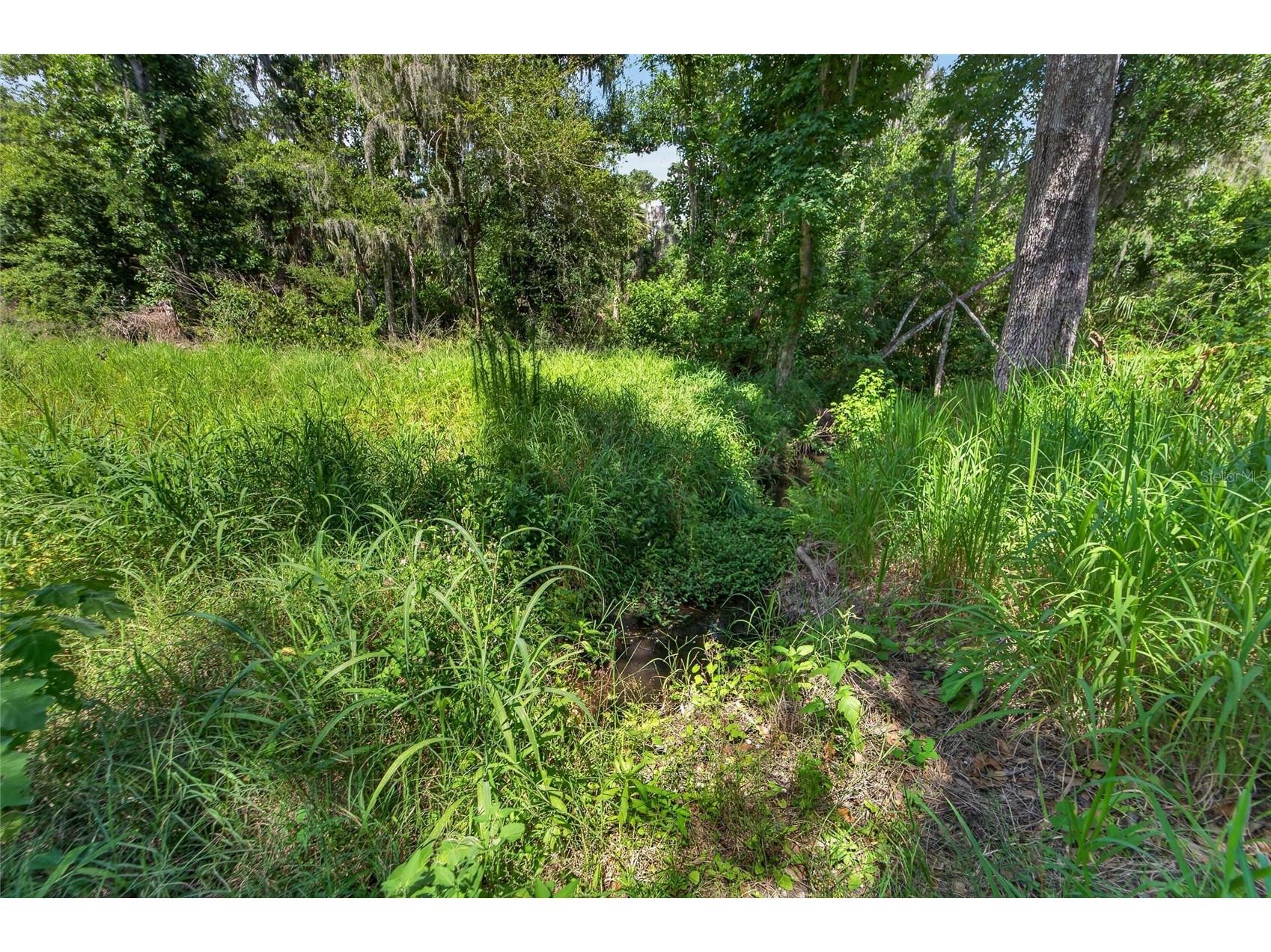 672 Highway Lithia FL 33547 TB8510144 image21