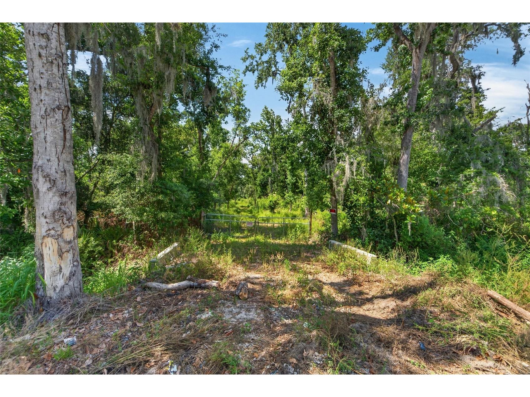672 Highway Lithia FL 33547 TB8510144 image22