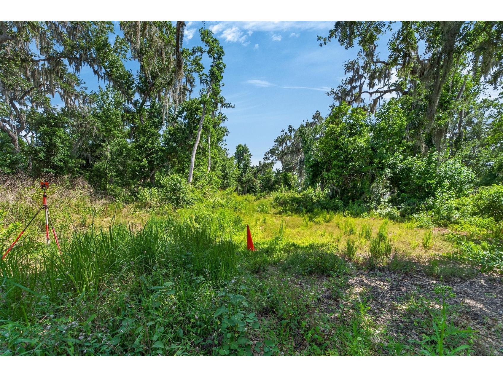 672 Highway Lithia FL 33547 TB8510144 image23