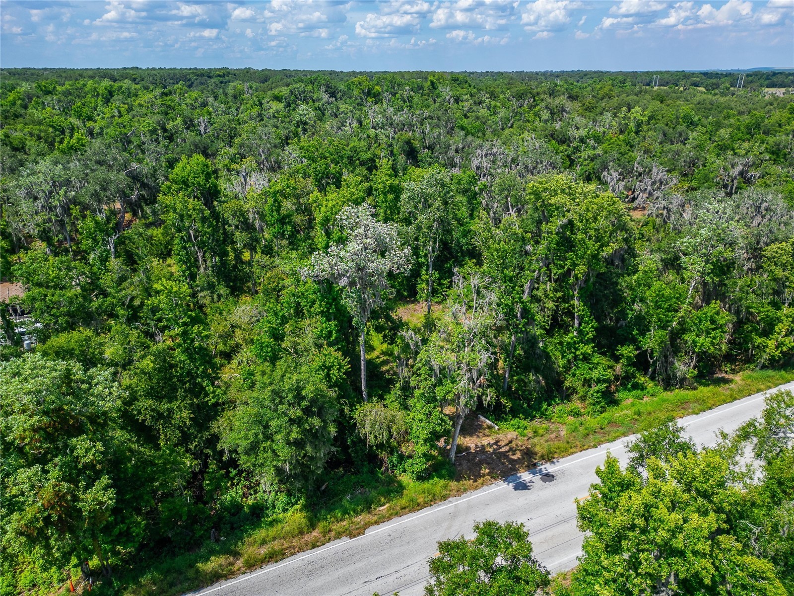 672 Highway Lithia FL 33547 TB8510144 image5
