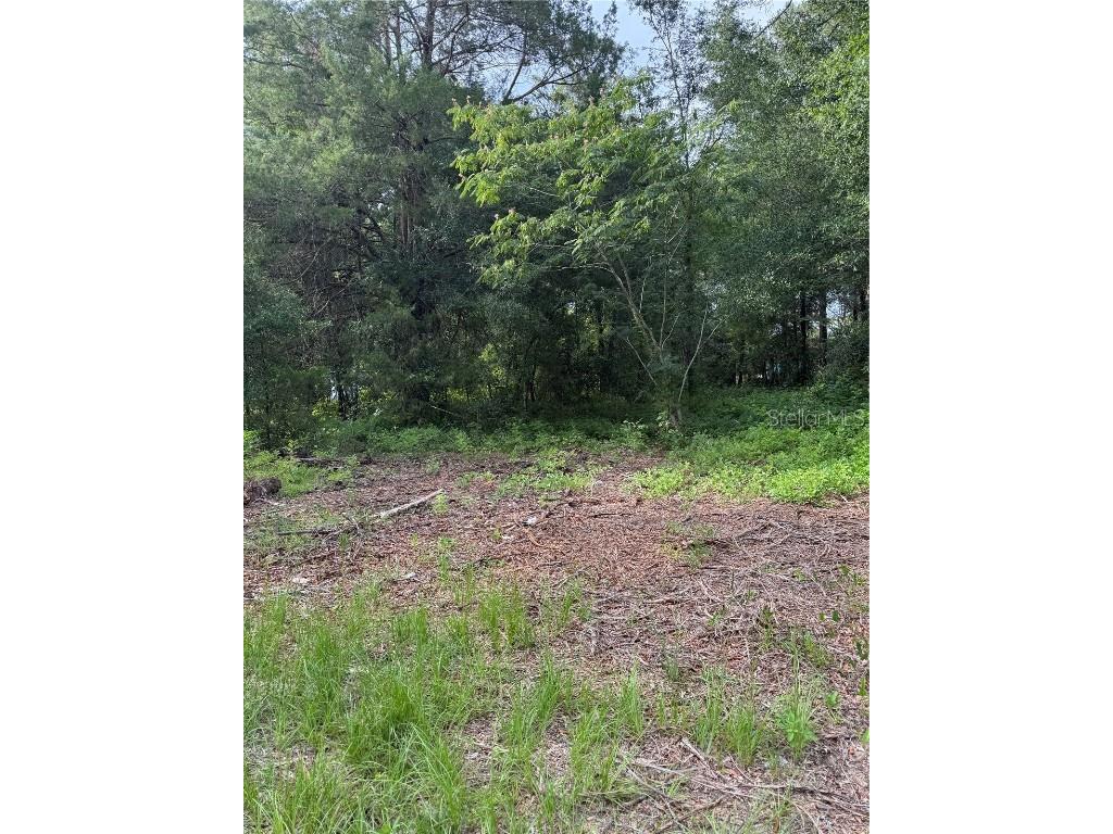 10237 Ne 67 St Bronson FL 32621 GC531567 image1