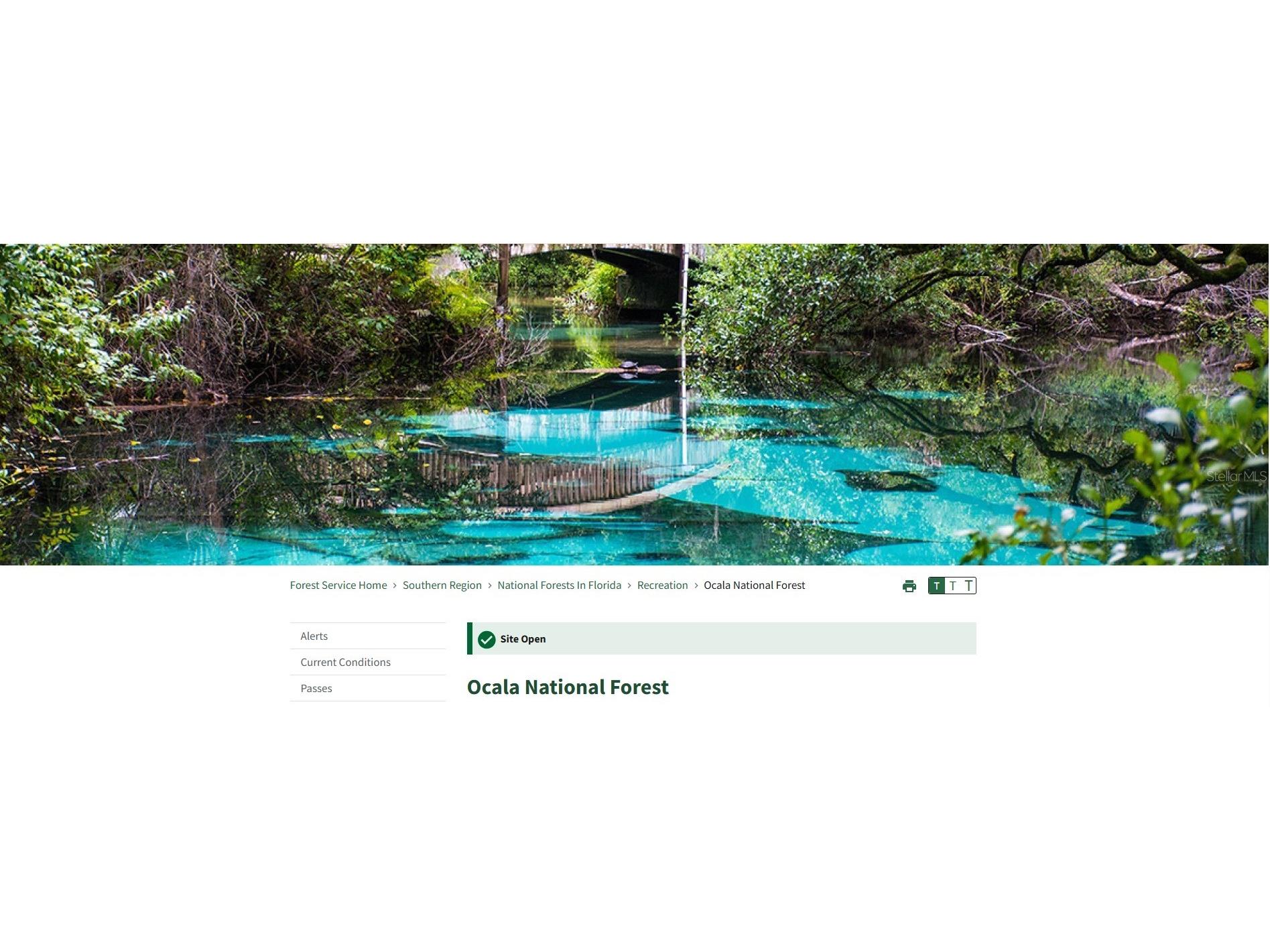 69 SE Ocklawaha FL 32179 S5153231 image3