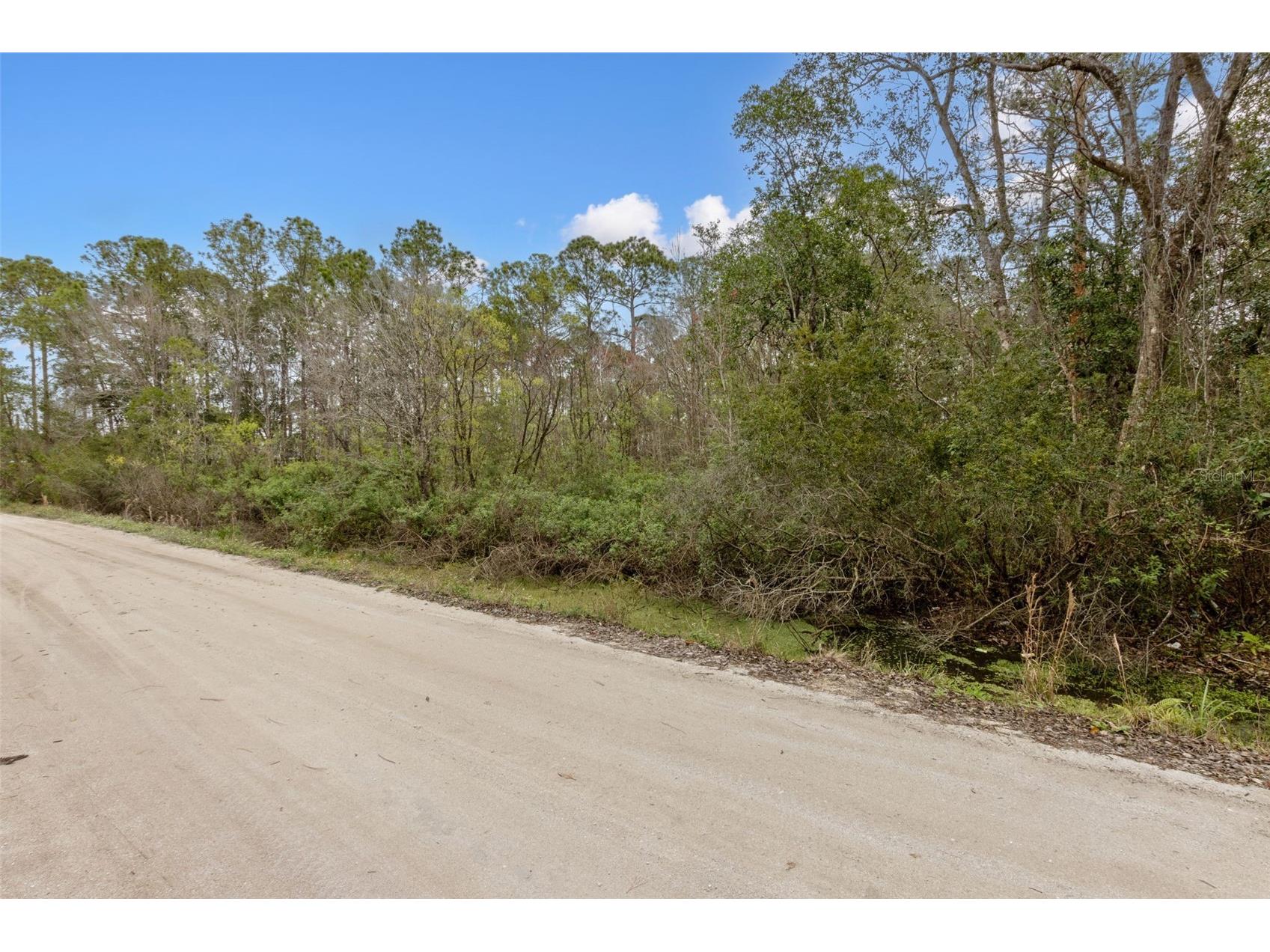 6th Avenue Deland FL 32724 O6282354 image12