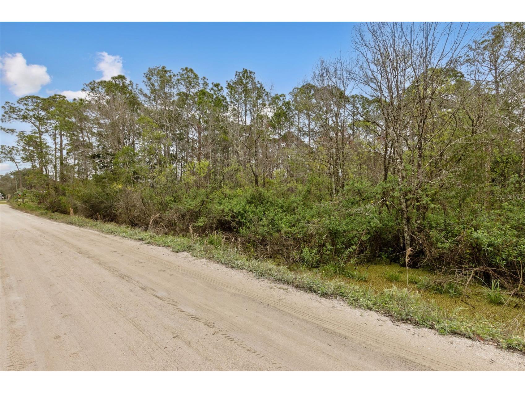 6th Avenue Deland FL 32724 O6282354 image13