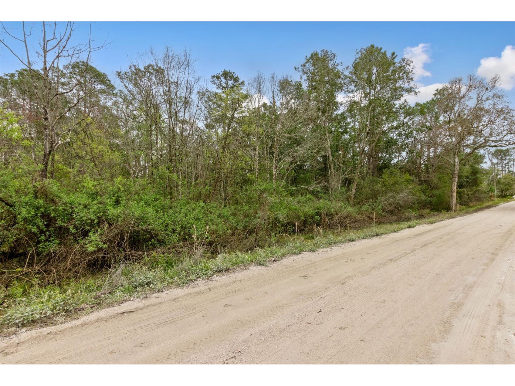 6th Avenue Deland FL 32724 O6282354 image14