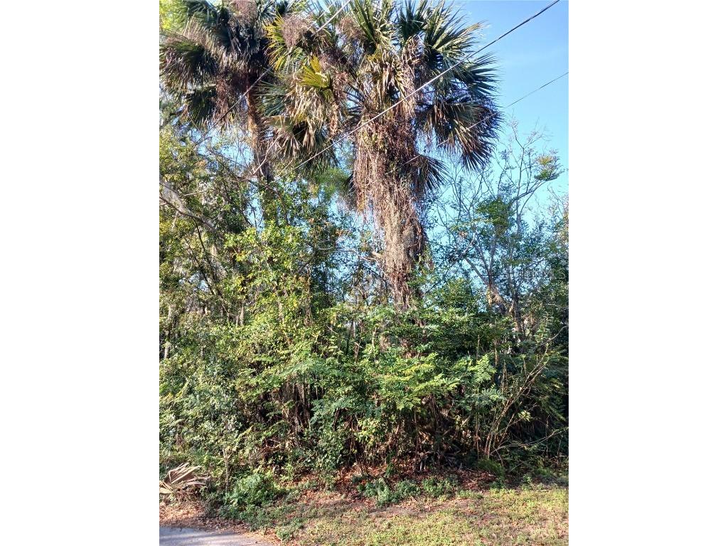 6th Avenue Osteen FL 32764 V4928975 image1