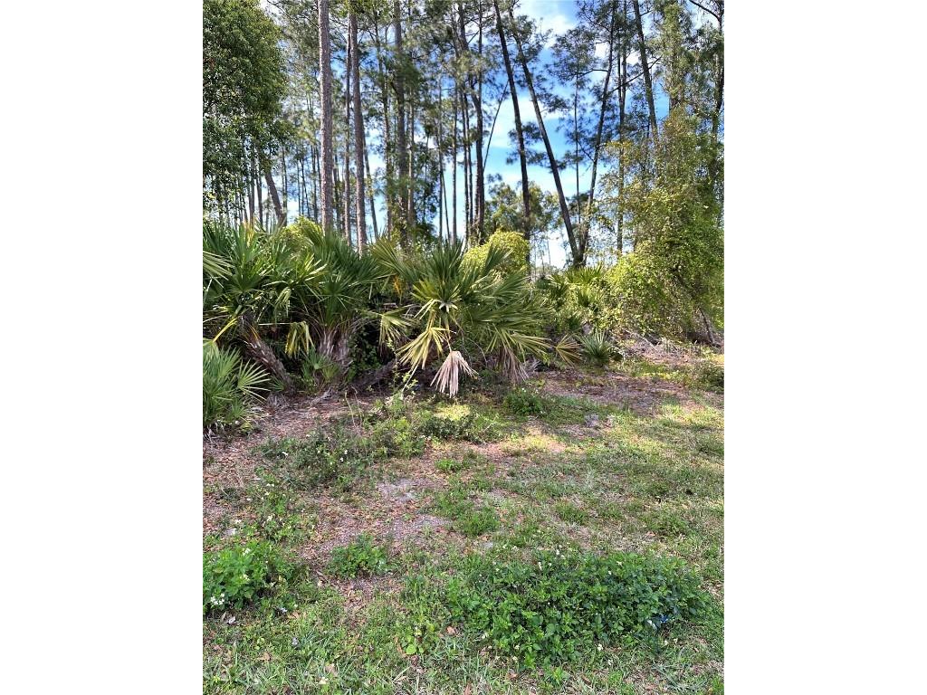 6th (Lots-616263) Avenue Deland FL 32724 V4935106 image1