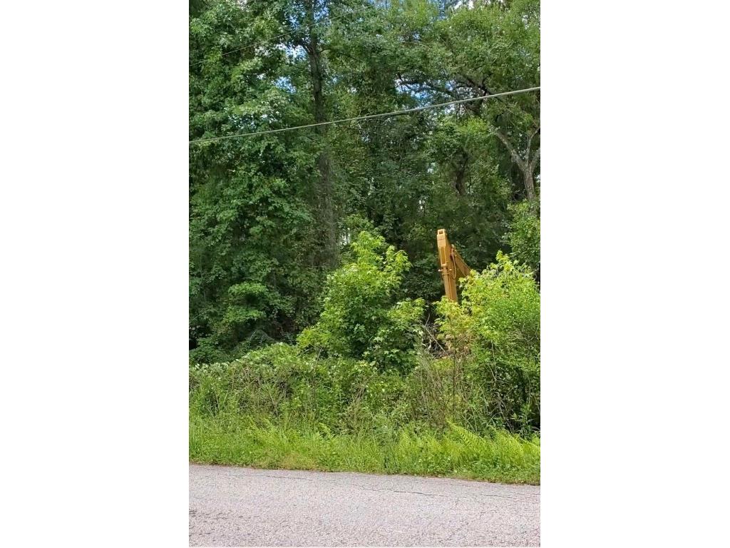 6th Street Astor FL 32102 O6081889 image1