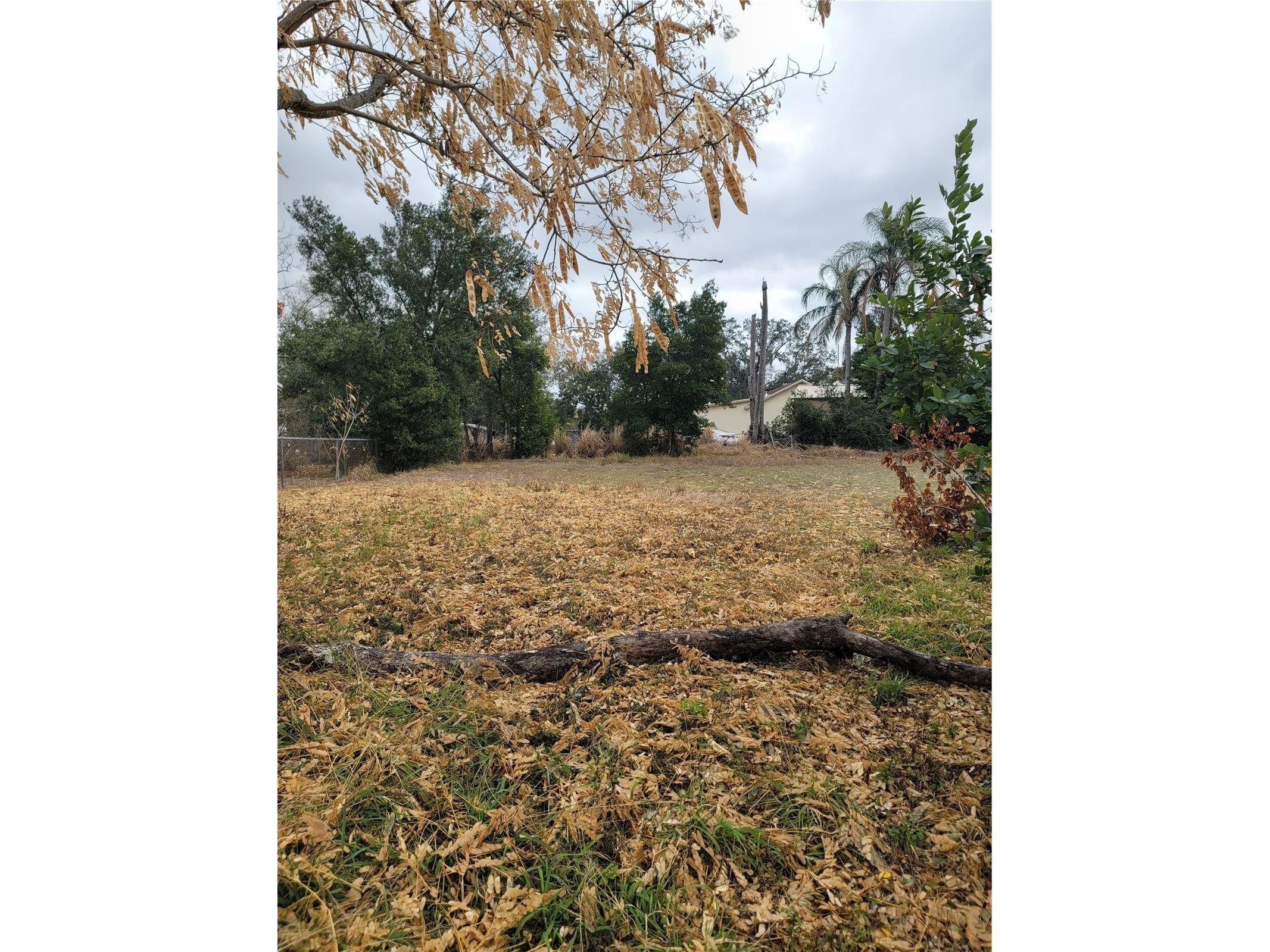 6th Street N Haines City FL 33844 O6381931 image1