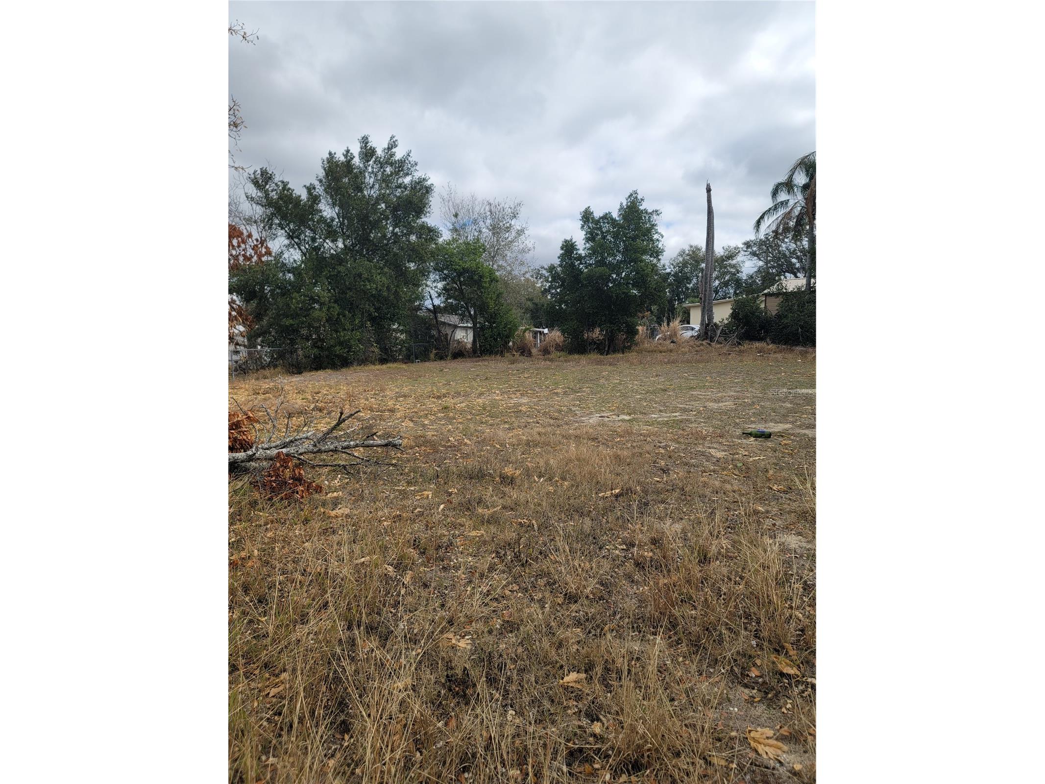 6th Street N Haines City FL 33844 O6381931 image3