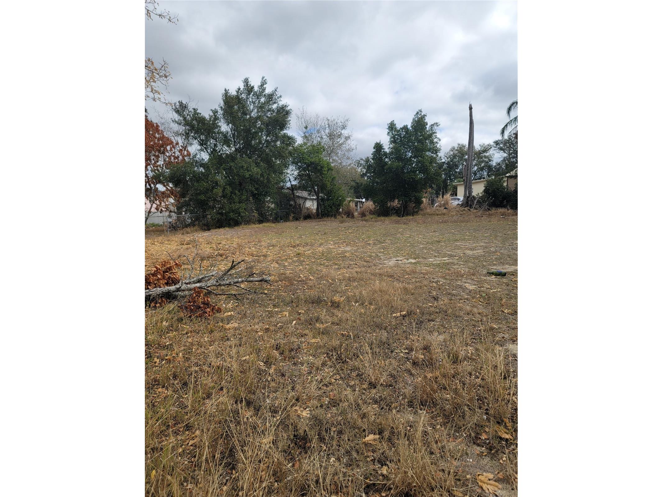 6th Street N Haines City FL 33844 O6381931 image4