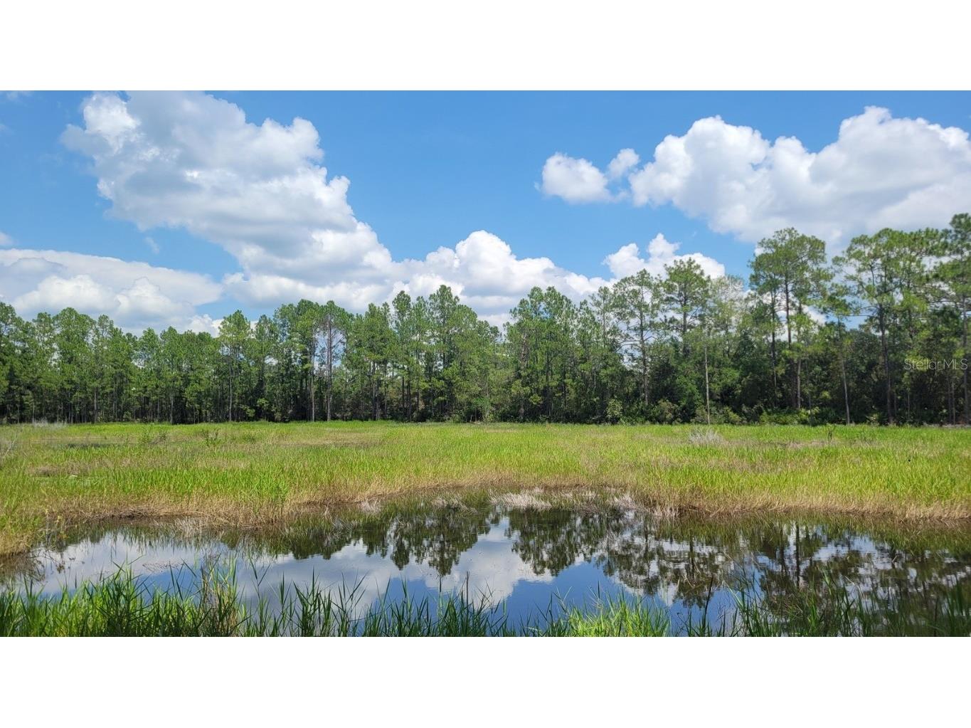 #7 - 15.22ac NE 127th St Fort Mc Coy FL 32134 OM668727 image1