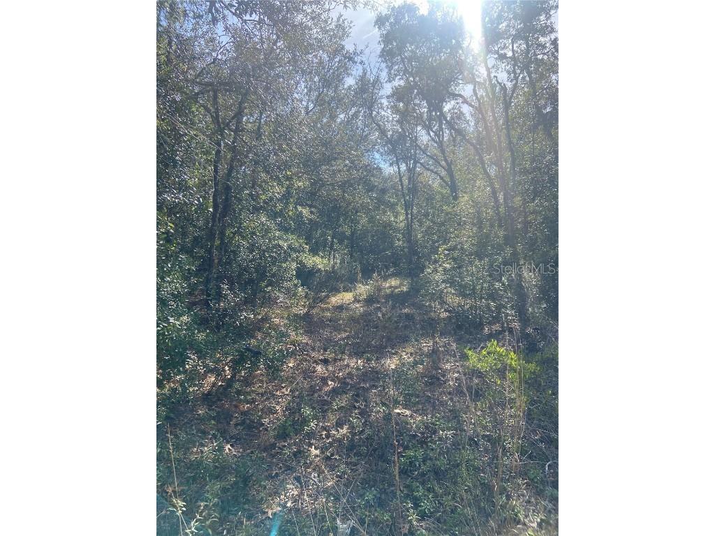 71 St Bronson FL 32621 GC518536 image1