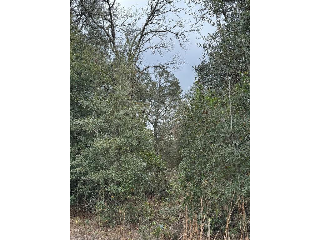 71 Street Williston FL 32696 GC526986 image1