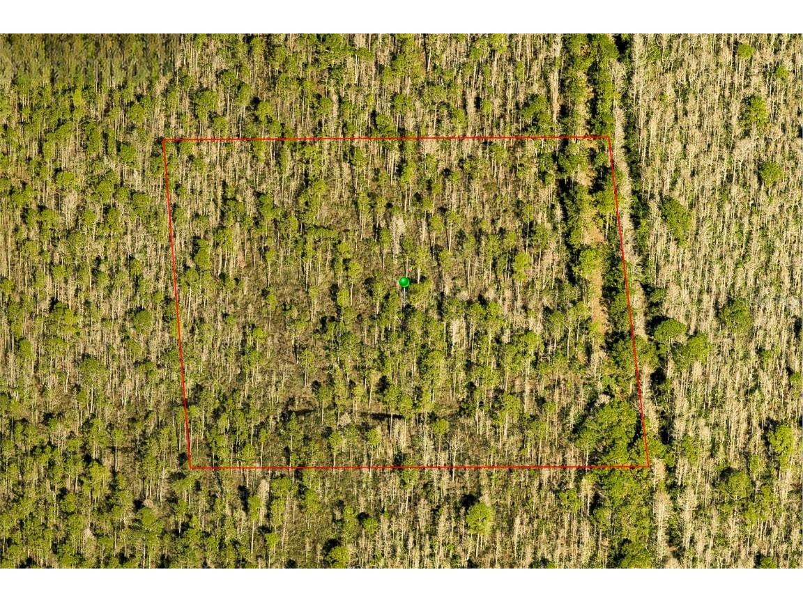 7108-01-05-0010 Deland FL 32724 O6305927 image2