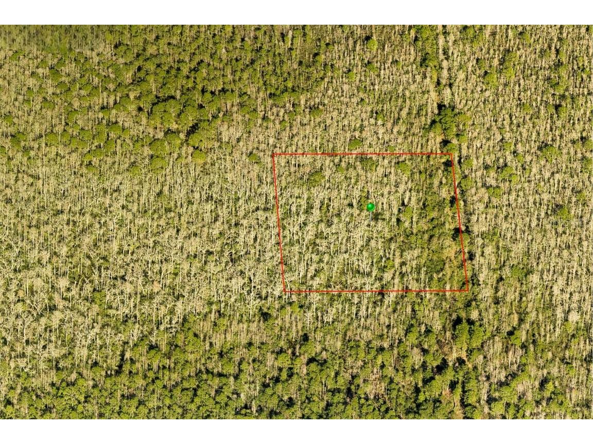 7108-01-07-0010 Deland FL 32724 O6305928 image1