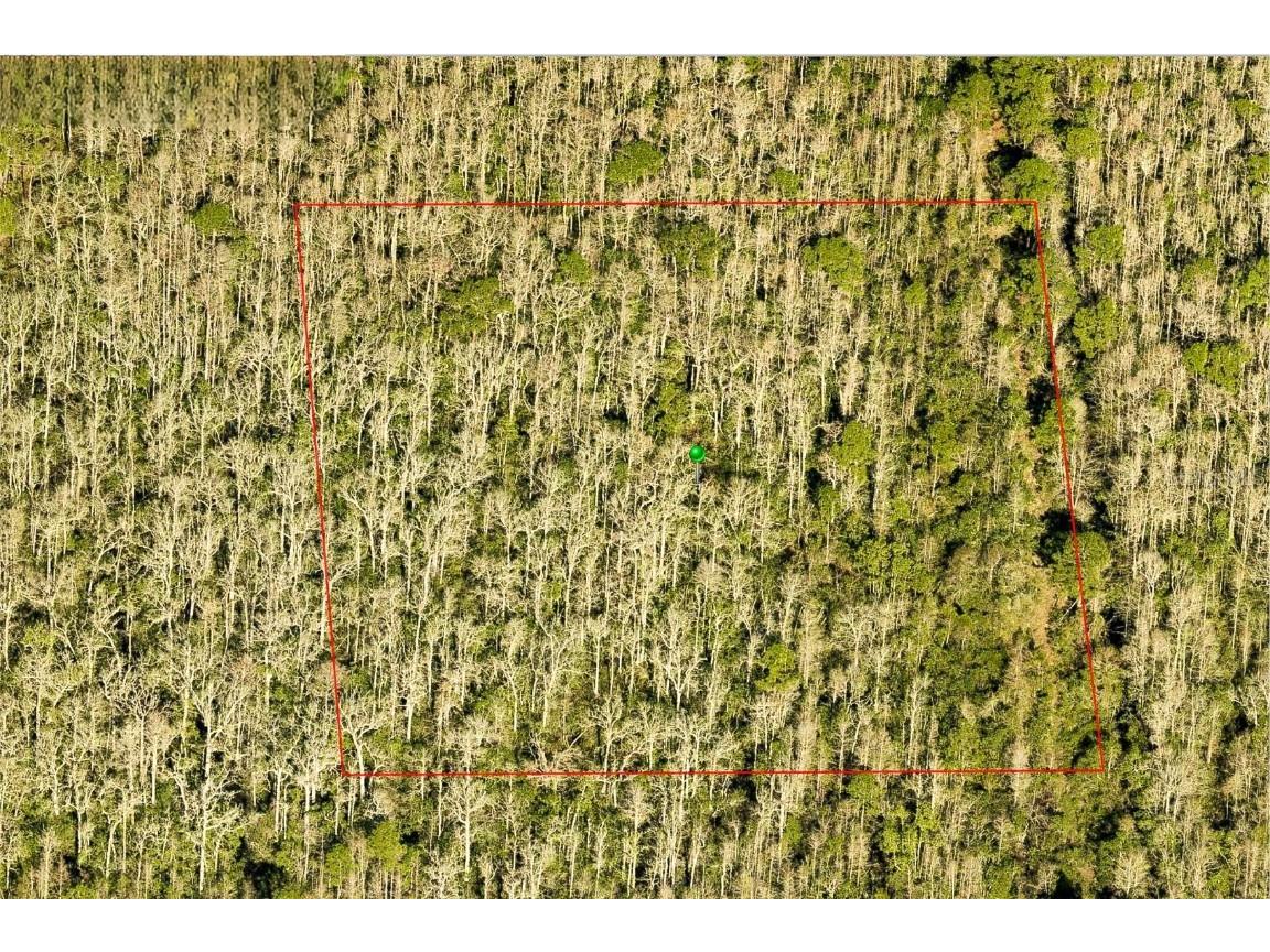 7108-01-07-0010 Deland FL 32724 O6305928 image2