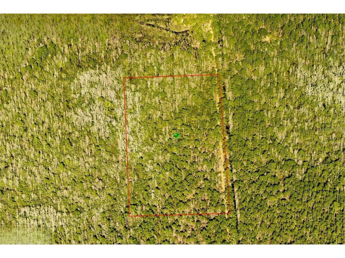 7108-01-13-0010 Deland FL 32724 O6305929 image1