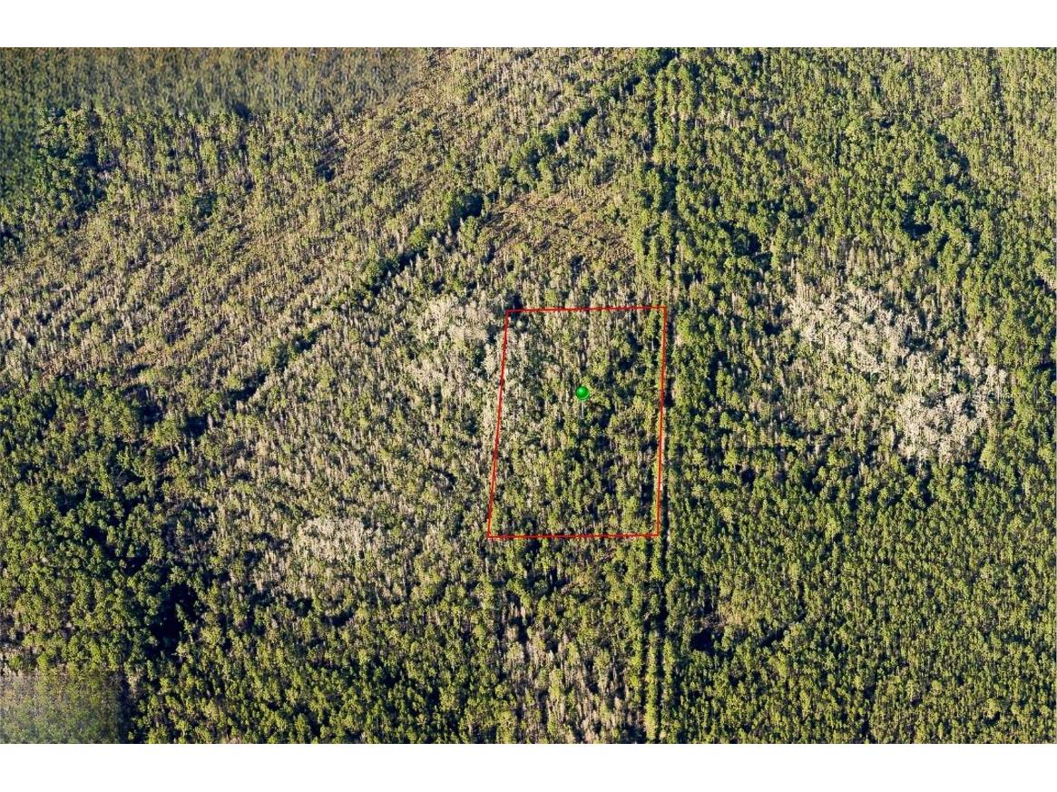 7108-01-13-0010 Deland FL 32724 O6305929 image2