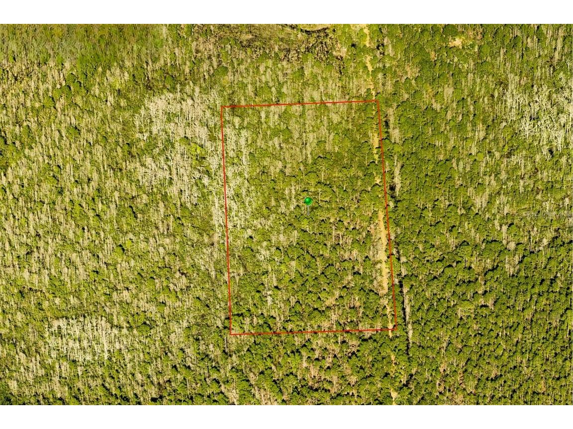 7108-01-13-0010 Deland FL 32724 O6305929 image3