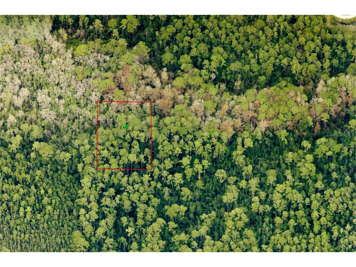 7120-01-12-0030 Lake Helen FL 32744 O6305924 image2