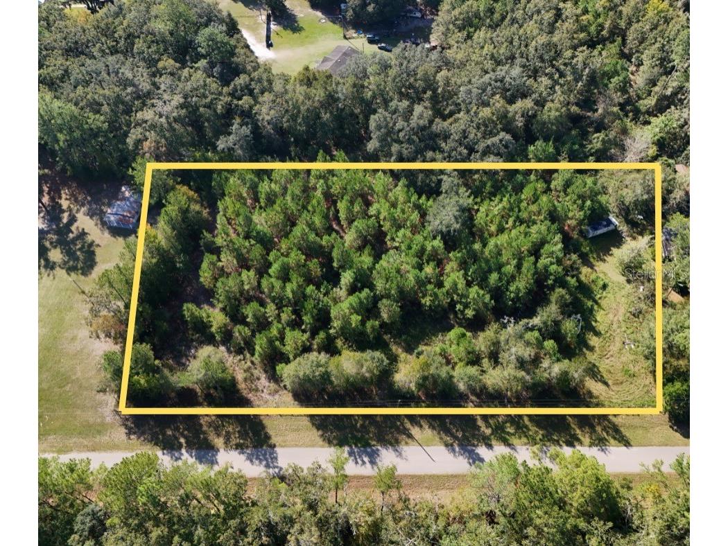 71st Way Lake Butler FL 32054 A4679445 image1